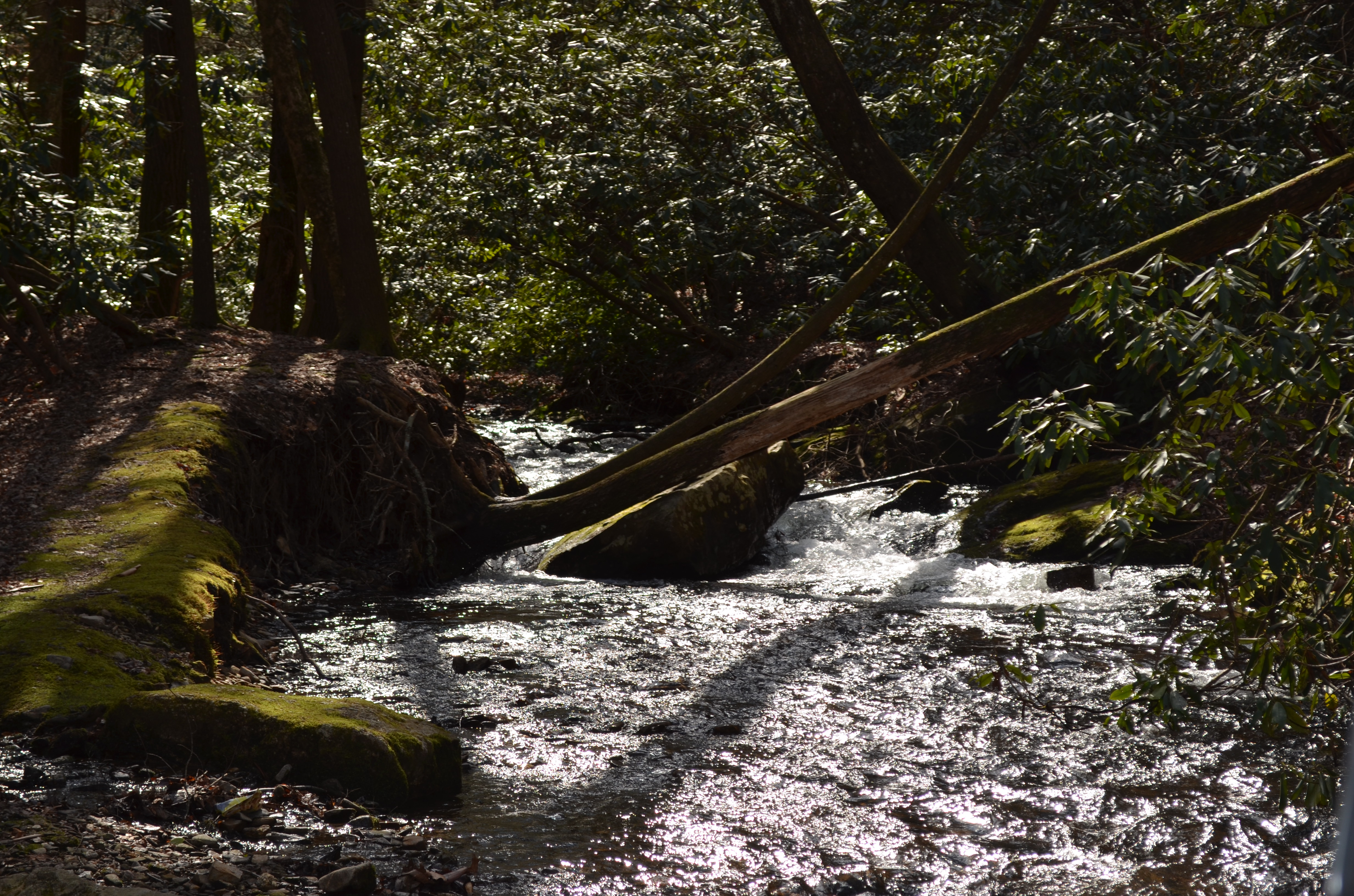 Union Baptist Church