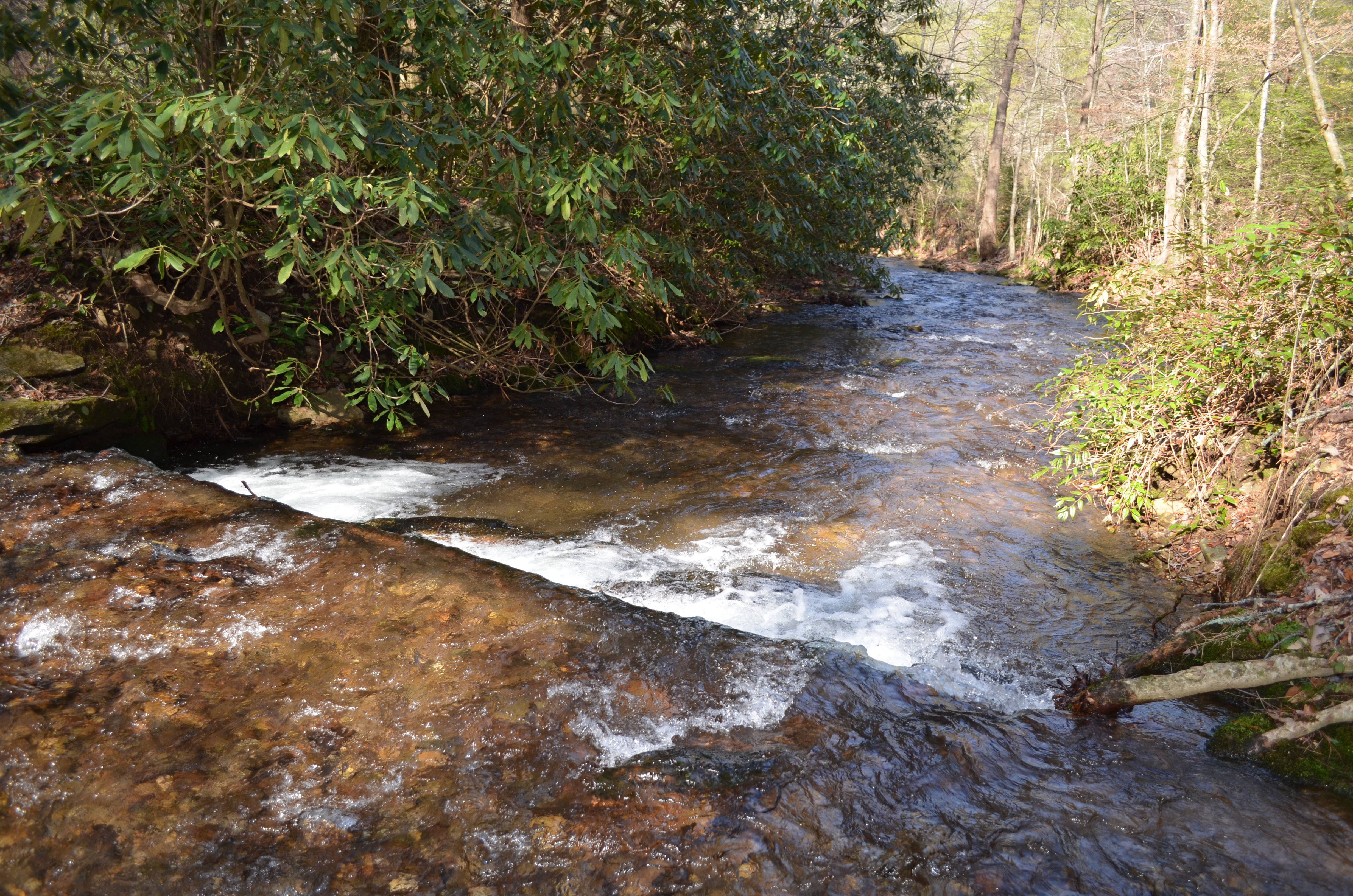 Union Baptist Church